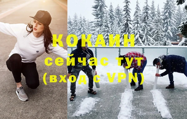 apvp Осинники