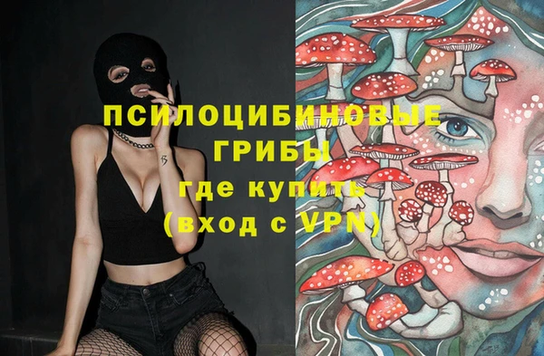 apvp Осинники