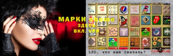 гидра Осташков