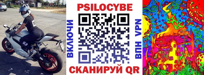 Галлюциногенные грибы Psilocybe  Балахна 