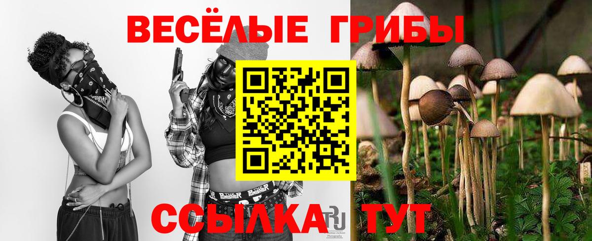 Балахна  Псилоцибиновые грибы мицелий  Вход с VPN 
