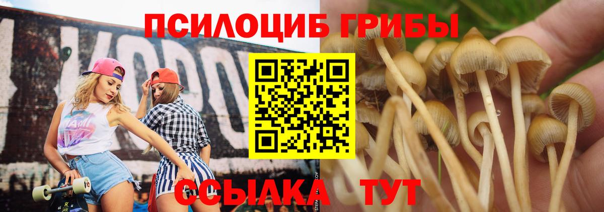 Псилоцибиновые грибы мухоморы Балахна