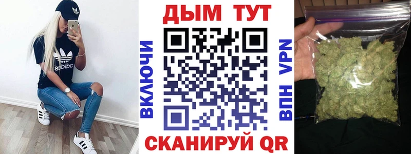 где купить наркоту  Балахна  Шишки марихуана тримм 