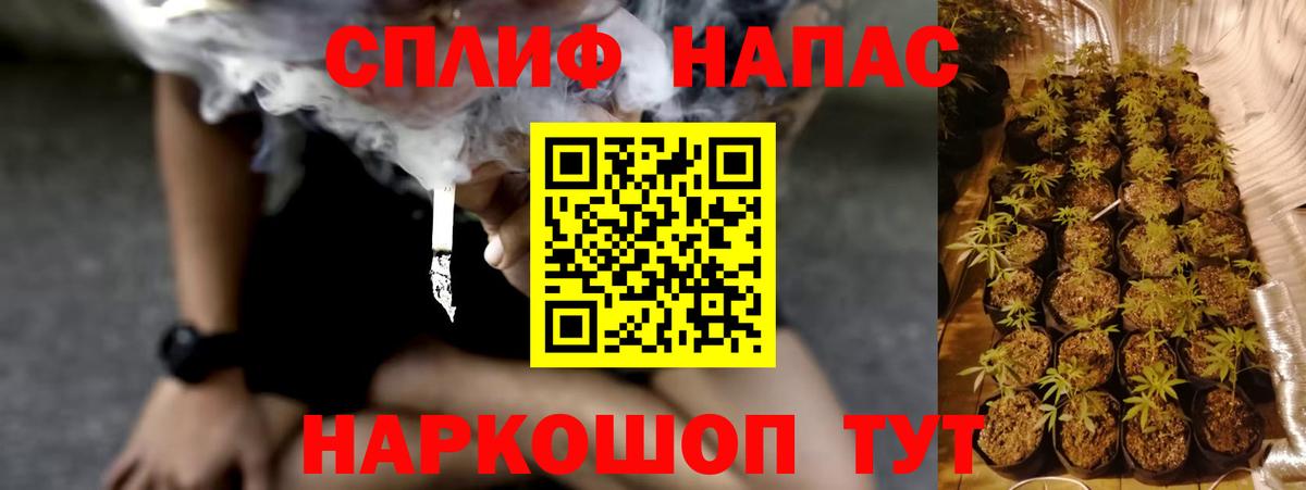 Канабис тримм  Балахна  Бошки марихуана марихуана 